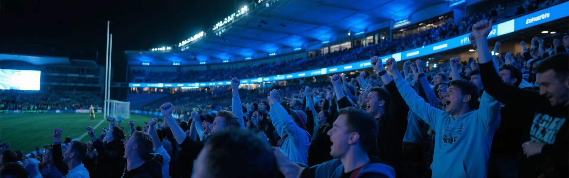 Cheering Fans
